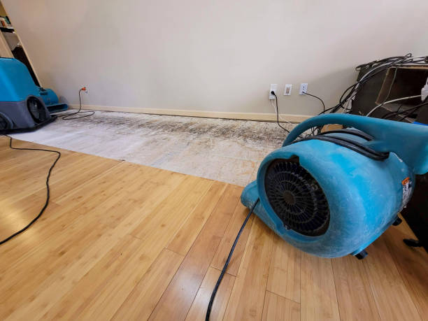 Professional Burst Pipe Water Damage technician working in Cowiche, WA